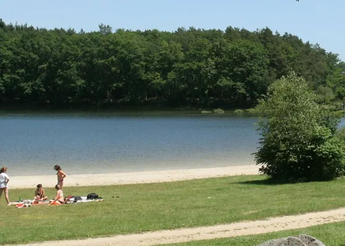 Кемпинг Mobil-home Confortable Avec Terrasse - 6 Personnes - Api-1-52-1308 Saint-Gerons