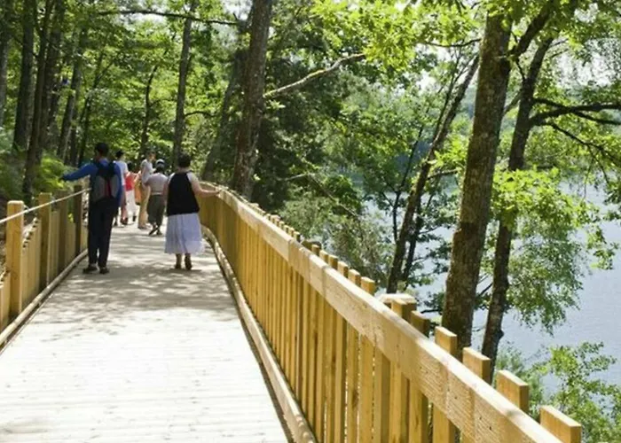 Mobil-home Confortable Avec Terrasse - 6 Personnes - Api-1-52-1308